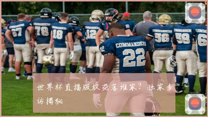 世界杯直播版权花落谁家？独家专访揭秘
