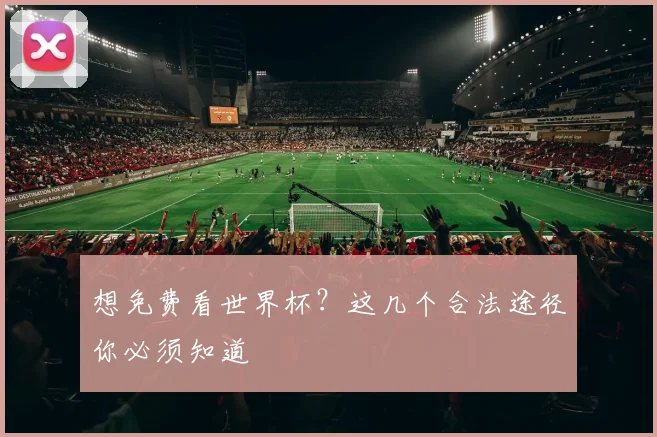 想免费看世界杯？这几个合法途径你必须知道