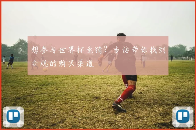 想参与世界杯竞猜？专访带你找到合规的购买渠道
