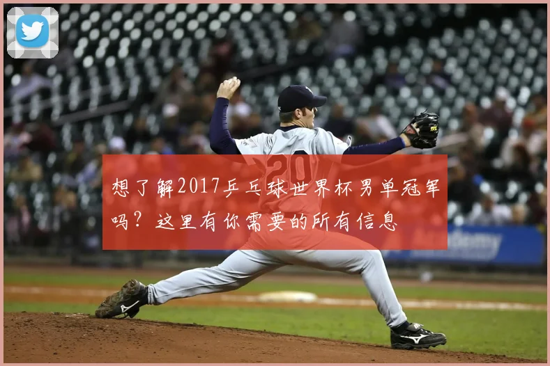 想了解2017乒乓球世界杯男单冠军吗？这里有你需要的所有信息