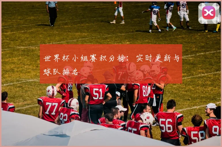 世界杯小组赛积分榜:实时更新与球队排名